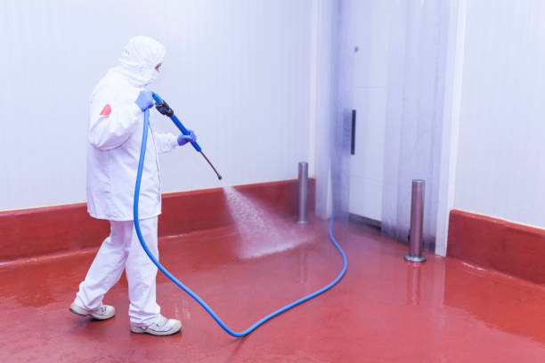 Trusted Lemon Grove, CA  Pressure Washing Services Experts